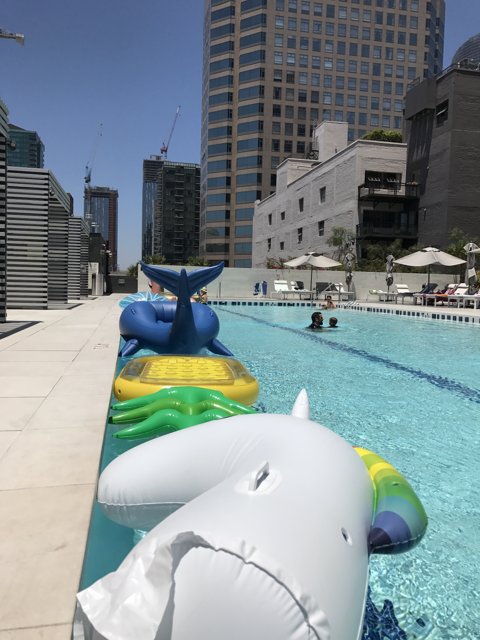 Fun in the Sun at LA's Waterfront Pool