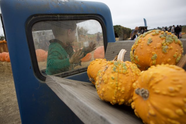 Pumpkin Patch Reflections