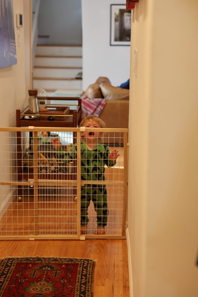 Toddler Behind Safety Gate in Home Interior