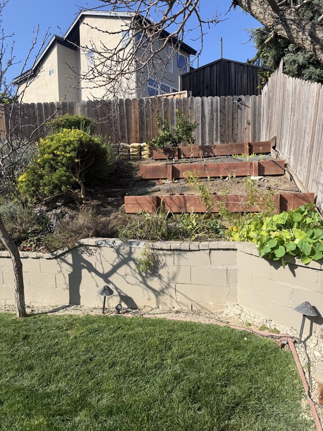 Terraced Hillside Garden with Retaining Walls