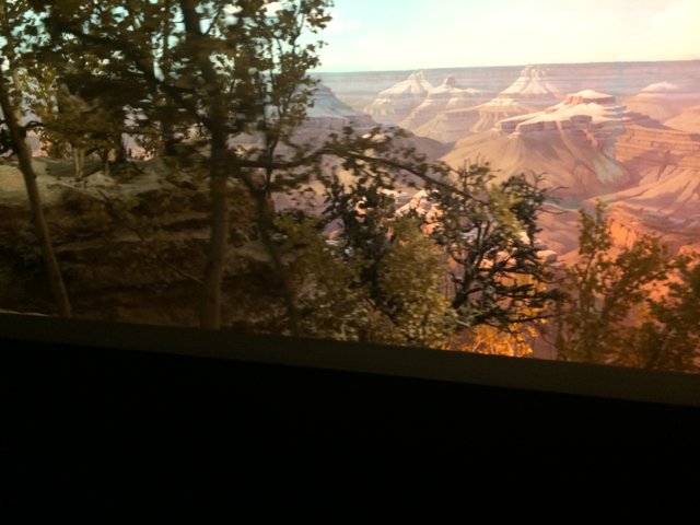 Grand View of the Canyon