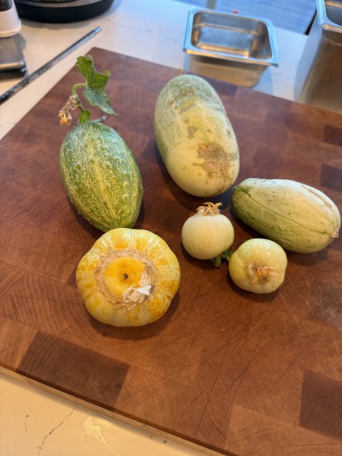 A Bounty of Garden Harvest