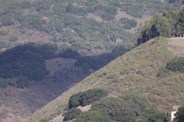 Tranquil Hills of Carmel Valley