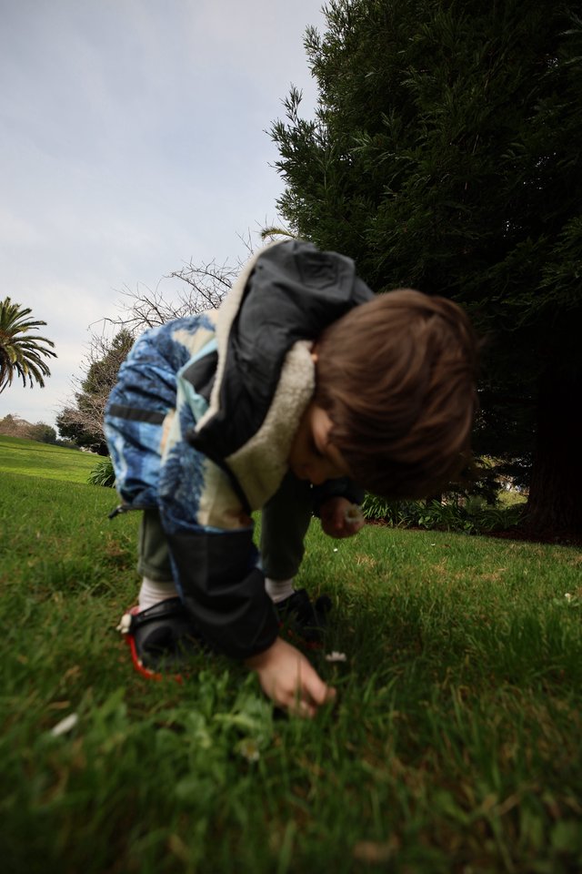 Child's Playful Somersault on Grassy Lawn