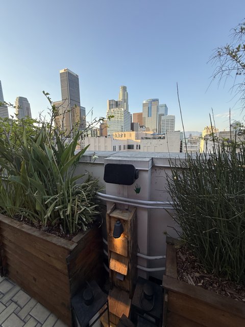Urban Oasis in the Heart of Los Angeles
