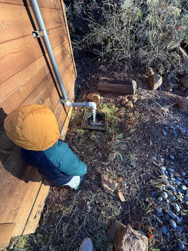 Child Inspects Rainwater Drainage System Beside Cabin