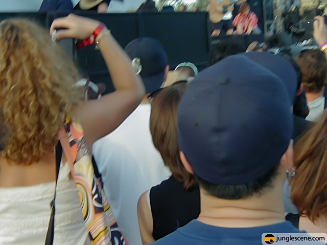 Hat in the Crowd