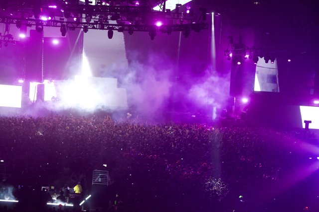 Purple Spotlight on the Rock Concert Crowd