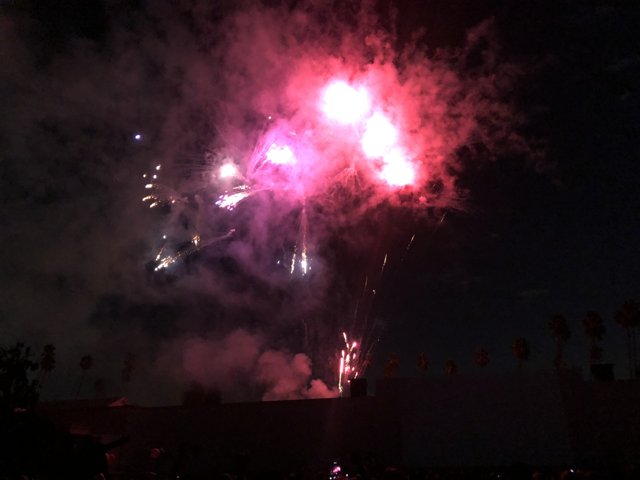 Disneyland Fireworks Display