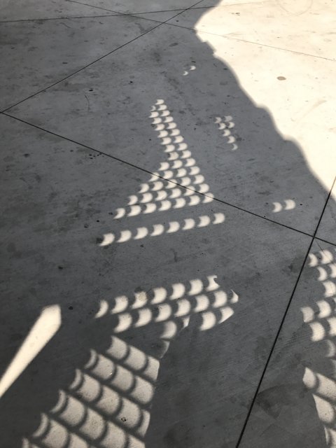 Walking in Shadow
