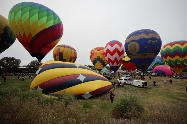 Colorful Hot Air Balloons Fill the Morning Sky