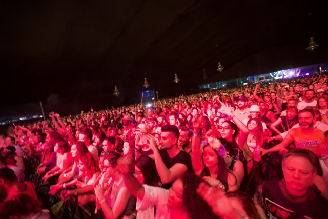 Crowd Goes Wild at Coachella 2014