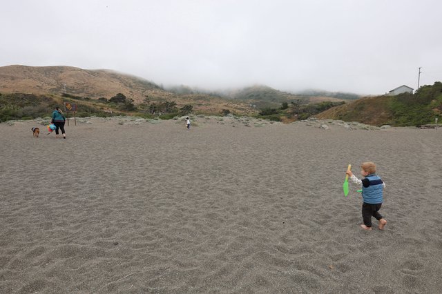 Toddler Explores Gray Sand Beach on Foggy Day