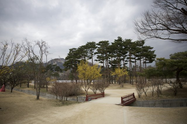 Stroll Through The Serenity: 2024, Korea