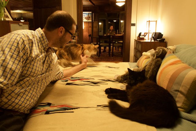 Cozy Living Room with Feline Companions