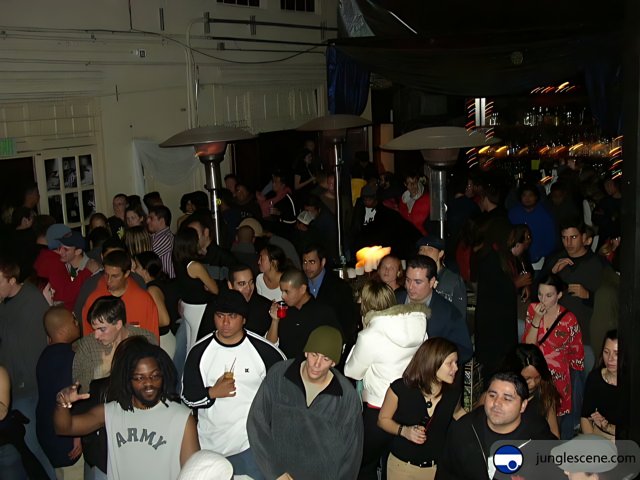 Nightclub Crowd
