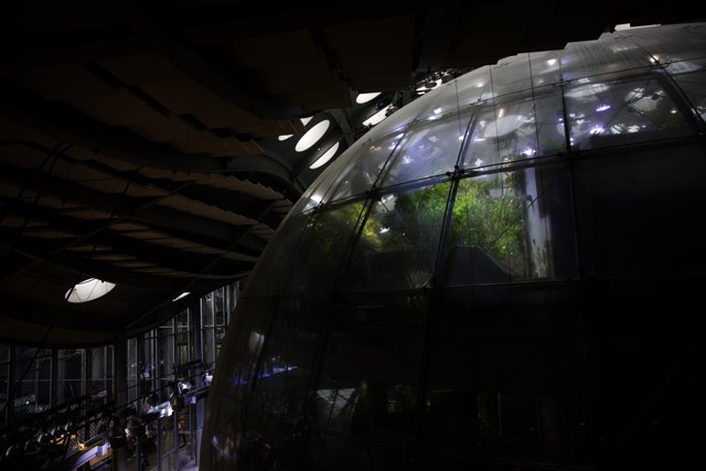 The Enchanting Glass Dome Oasis
