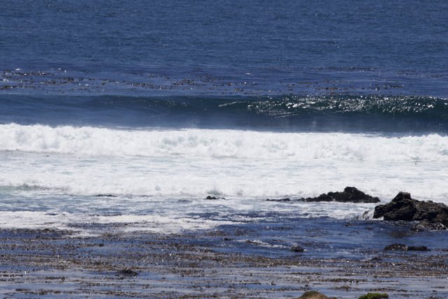 Ocean Symphony