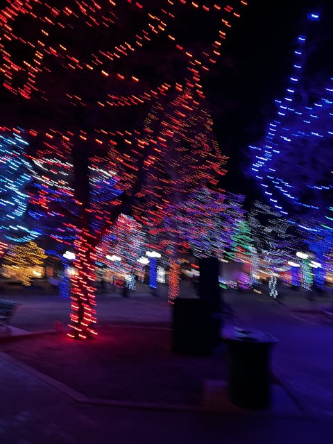 A Festive Night in Colorado Springs