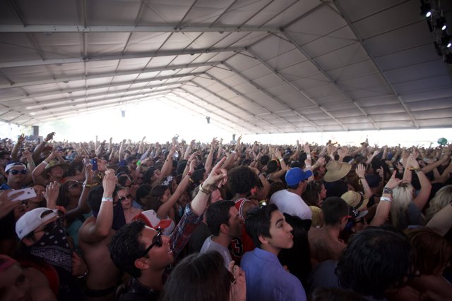 Crowd Goes Wild at Coachella's Music Festival