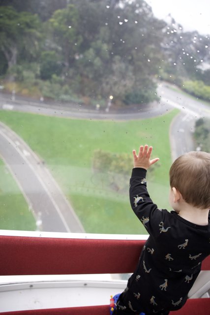 Reflections from the Top: A Boy's Prospect Over Golden Gate Park