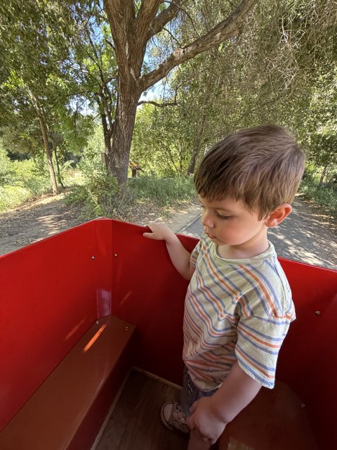 Summer Adventure in Walnut Creek