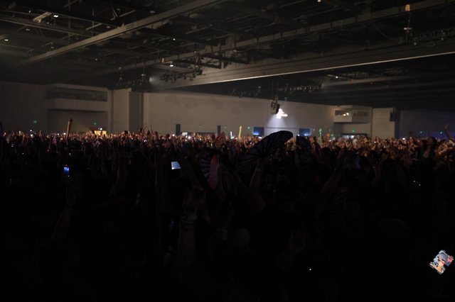Massive Crowd Erupts at Wobbleland 2026 Festival