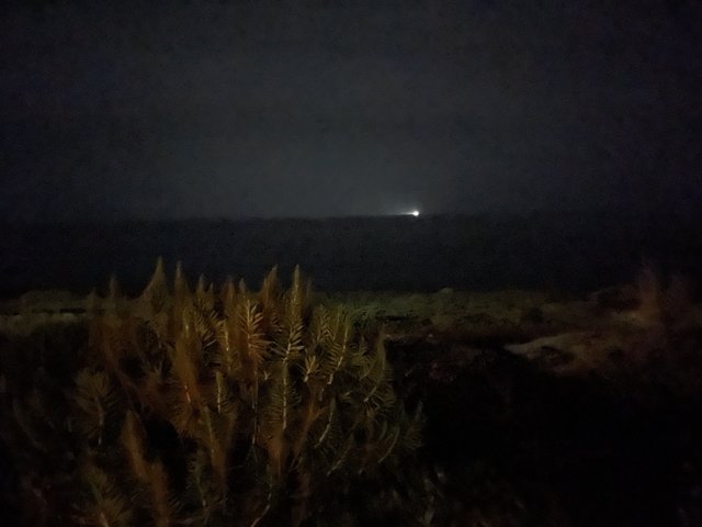 Illuminating the Night Sea