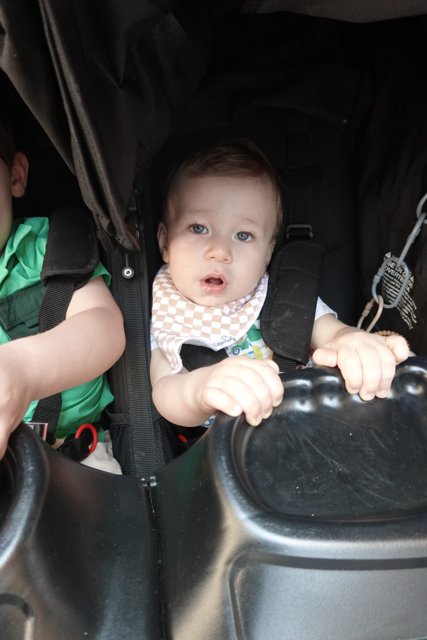 Double Trouble in the Stroller