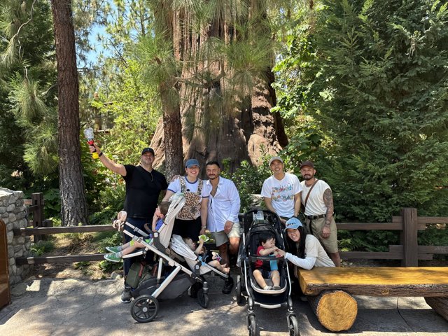 Woodland Adventure at Disney California Adventure Park