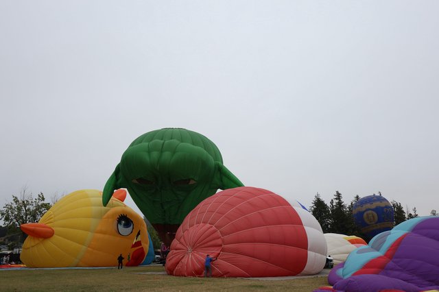 Giant Yoda Balloon Inflation at Hot Air Festival