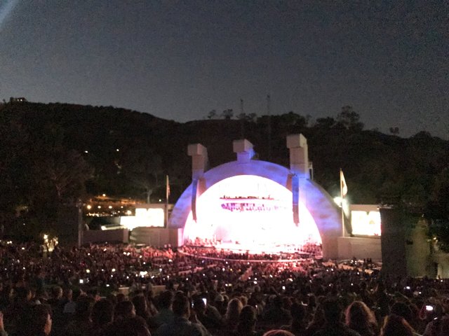 Lights, Camera, Action: A Spectacular Outdoor Concert
