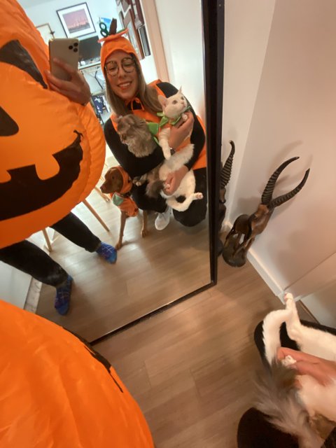 Halloween Costume Fun with Feline Friend