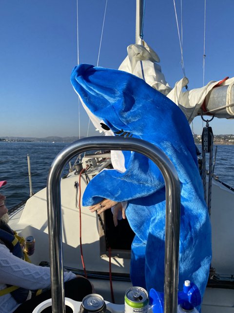 Shark Attack on the Sailboat
