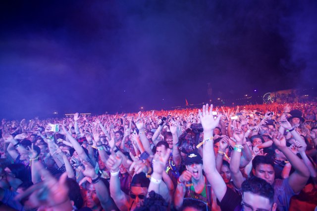 Coachella 2017 Crowd Goes Wild
