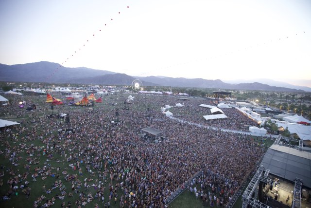 Coachella Crowd Groove