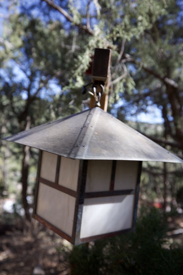 Craftsman-Style Outdoor Lantern Among Pine Trees