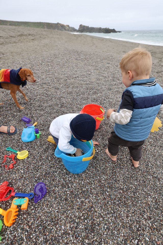 Toddlers Playing with Beach Toys on Pebble Shore