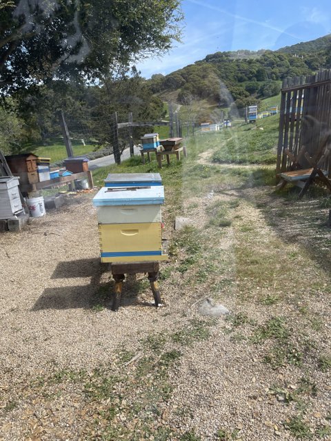 Beekeeping on the Go