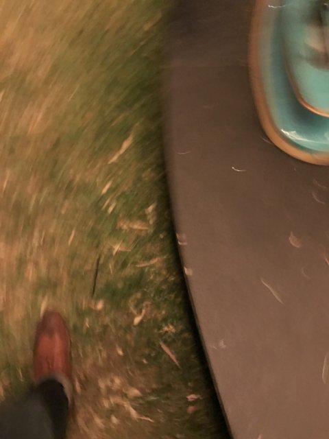Blurred Shoes on Carousel