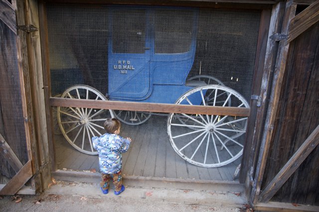 The Boy and the Carriage: A Sonoma Encounter