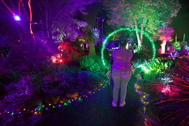 Enchanted Evenings in a Luminous Garden