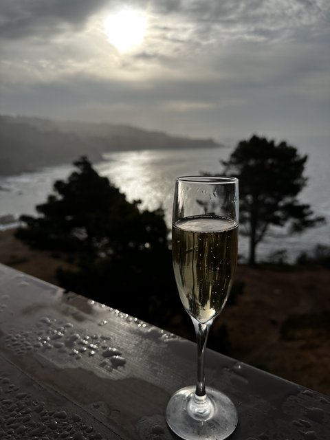 Ocean View Champagne Toast