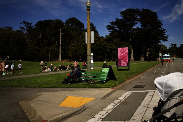 Unexpected Joys: A Day at Golden Gate Park