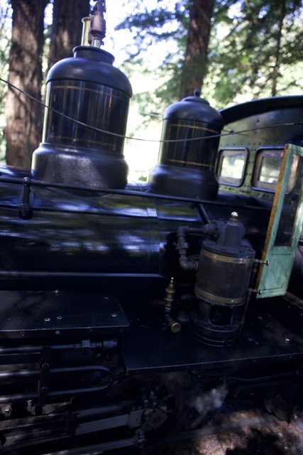 Mechanical Marvel: Up Close with a 2024 Tilden Train