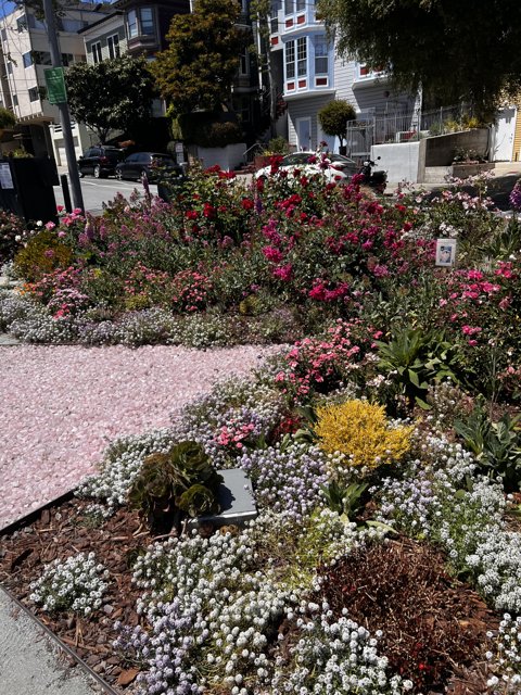 A Colorful Oasis of Flowers in San Francisco
