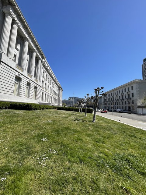 San Francisco City Hall Architecture from Ground Level