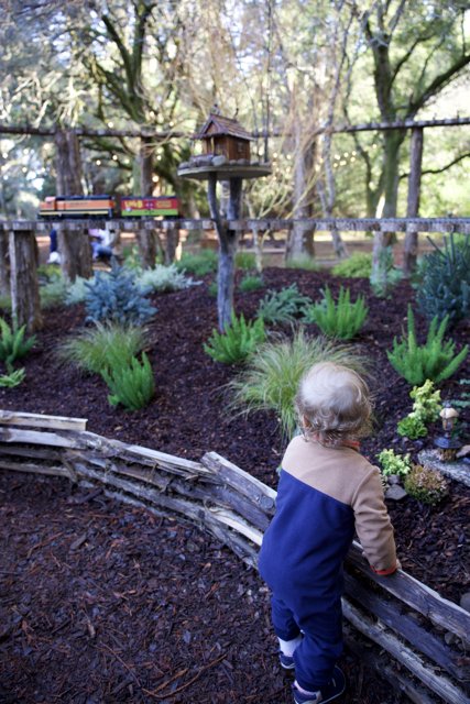 A Child's Wonder in the Garden