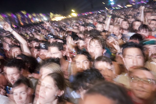 Coachella 2012: Electric Crowd Vibes