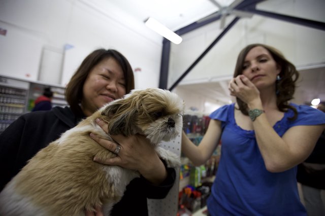 Two Women Delight Over Fluffy Shih Tzu Puppy